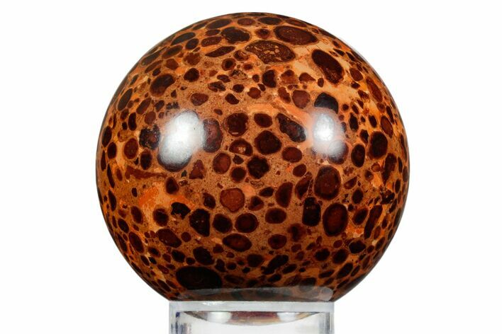 Polished Bauxite (Aluminum Ore) Sphere - Russia #354245